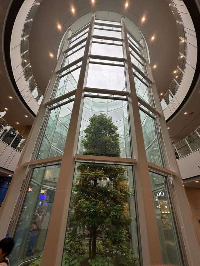 口福堂 ららぽーと立川立飛店 - サブ画像2