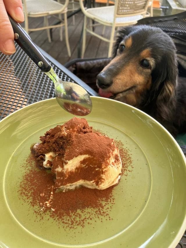 IN THE GREEN - サブ画像1