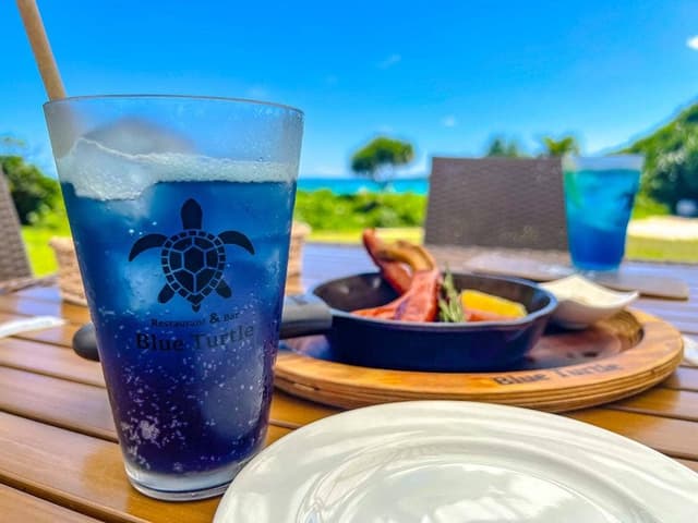 Blue Turtle - サブ画像1