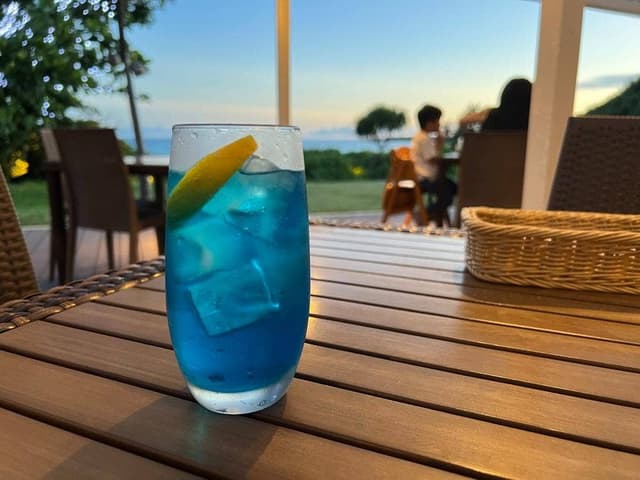 Blue Turtle - サブ画像2