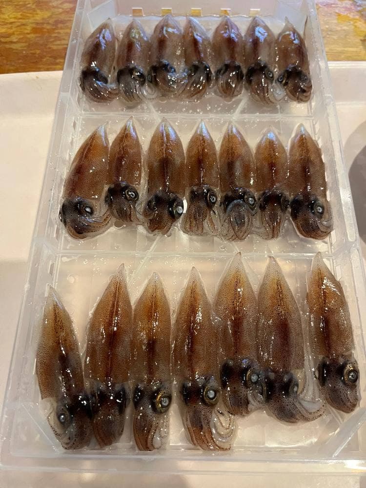 浜浦水産