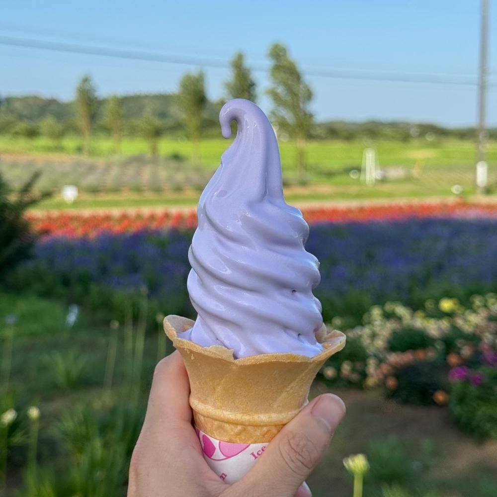 佐倉ラベンダーランド 売店