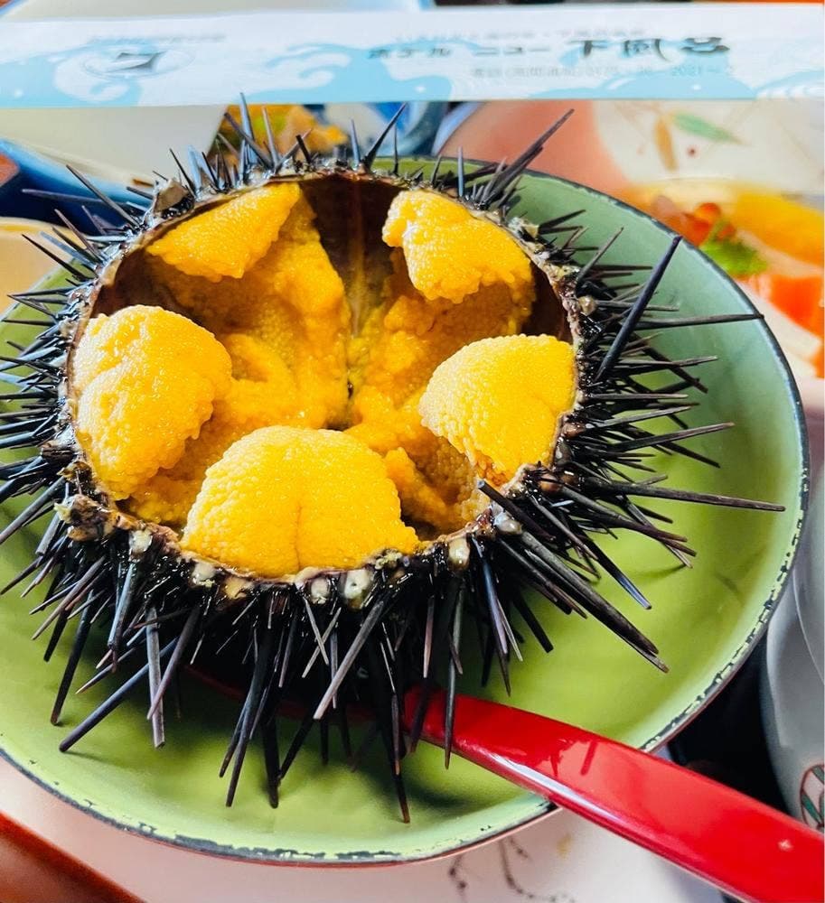 ホテルニュー下風呂