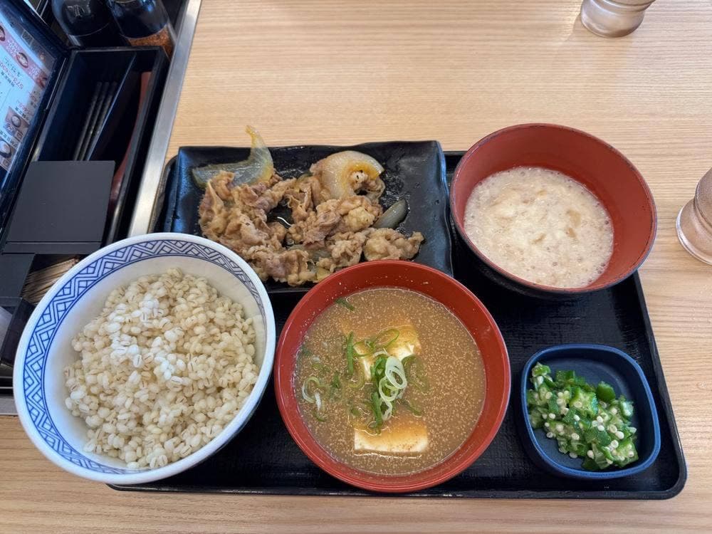 吉野家 9号線洛西中山店