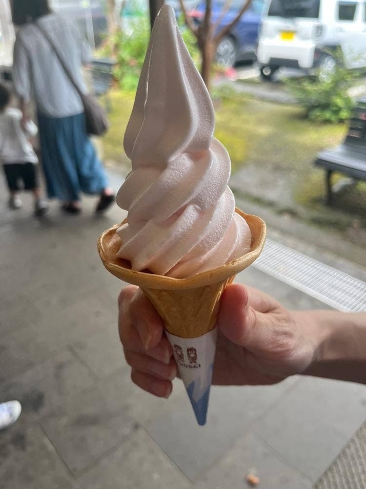 清川ふるさと物産館 夢市場 道の駅きよかわ