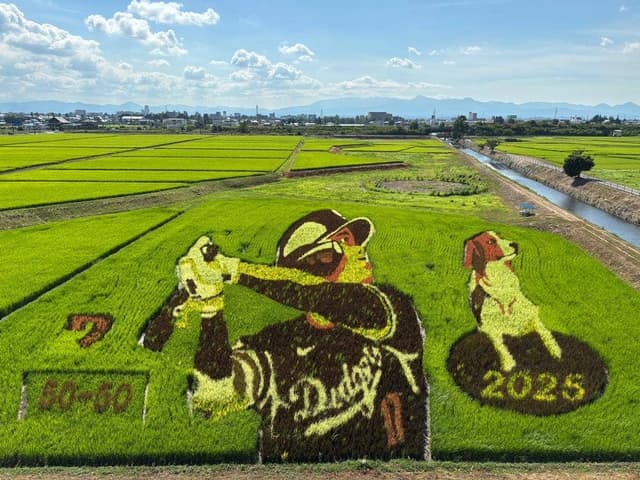 レストラン 竹林 薬師堂温泉 - サブ画像3
