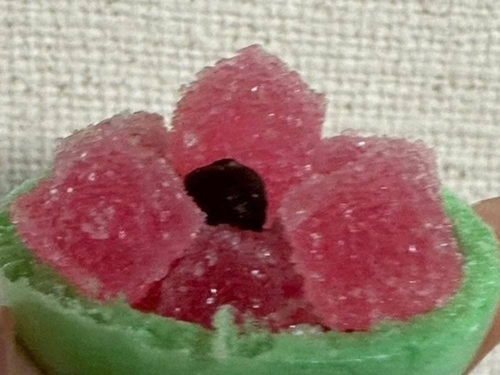 菓匠 髙木屋