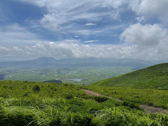 お食事処 伸 - サブ画像2