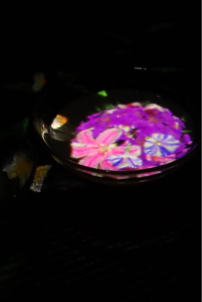 EN TEA HOUSE - 幻花亭