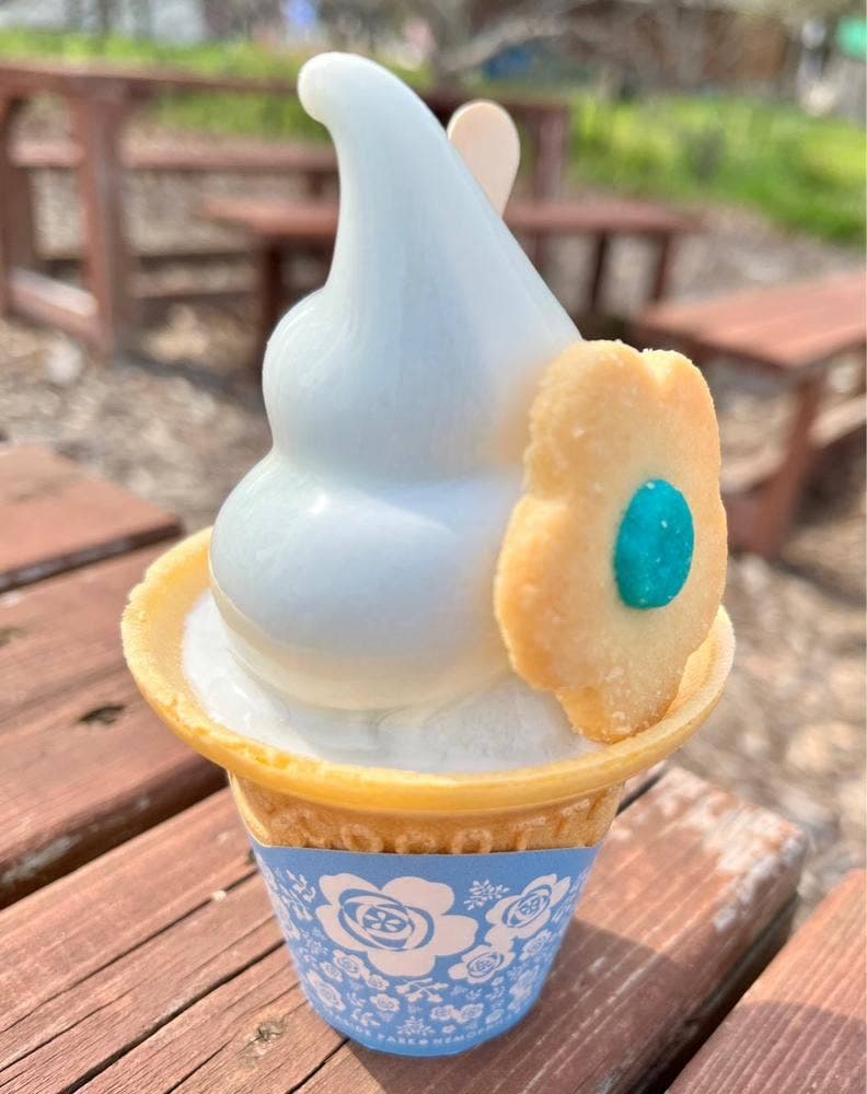 レイクサイドカフェ 国営ひたち海浜公園