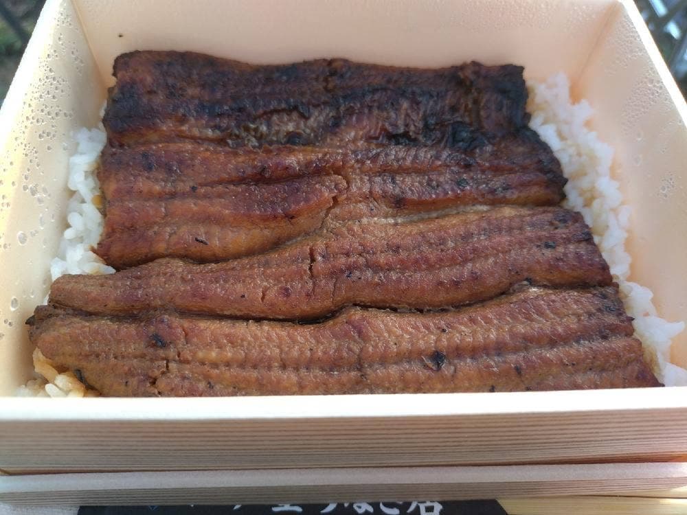 江戸屋うなぎ店