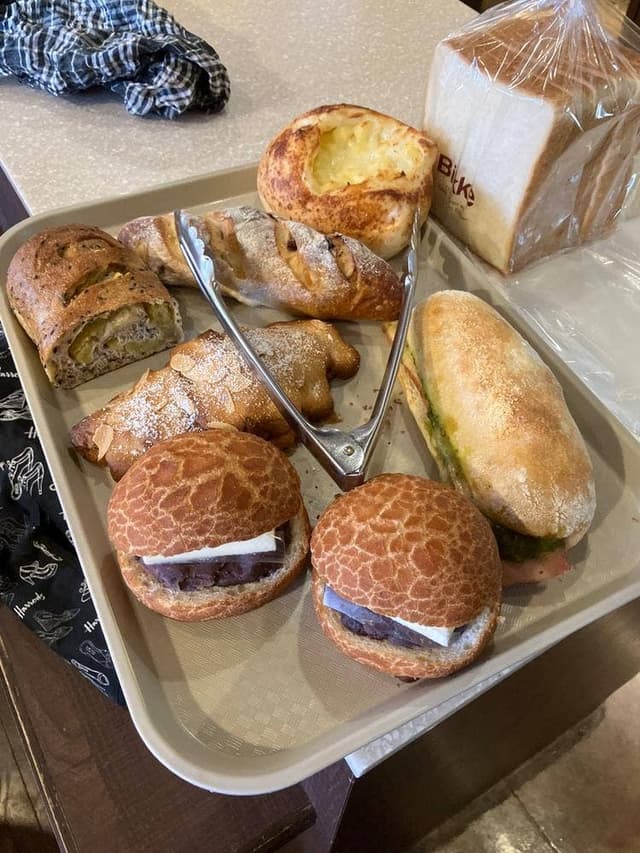 セルフィッシュカラー ビッケ - サブ画像2