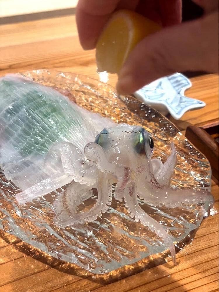 鮨 凰月