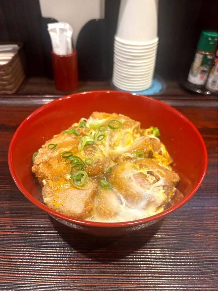 ヒレかつ丼 ふじや