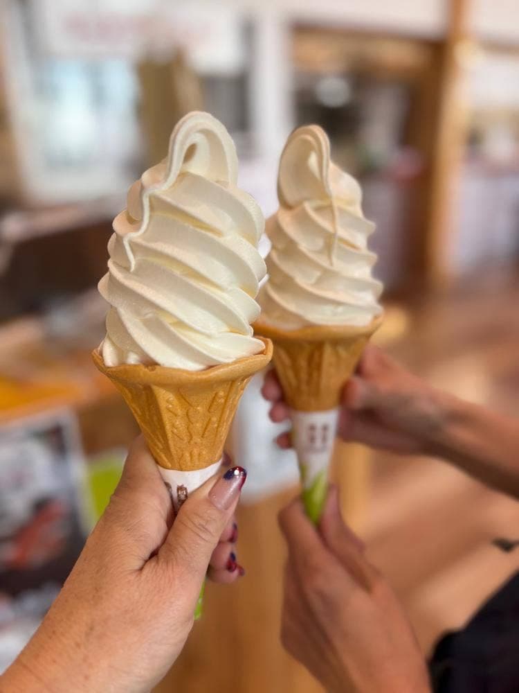 ウミヤマカフェ