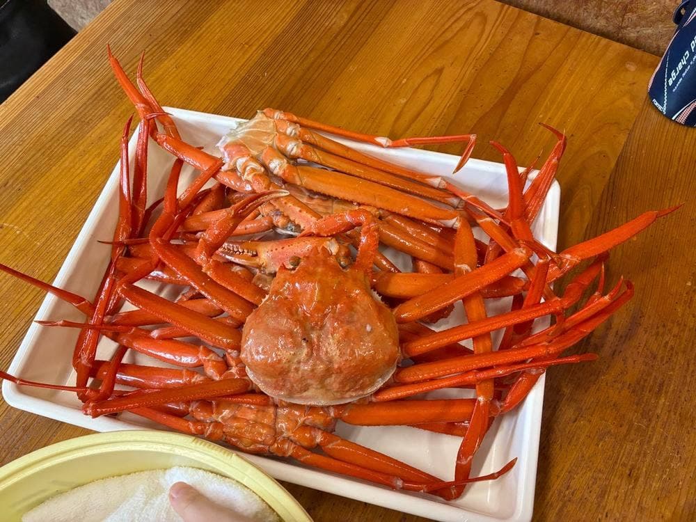 伝宝丸