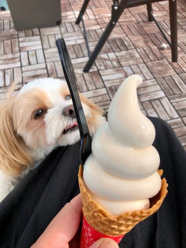 生 Cheese Soft NICORI - サブ画像1