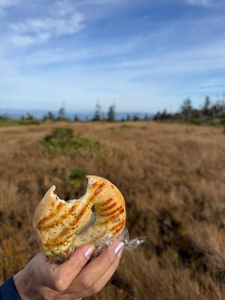 Bagel & Herb tea hibi