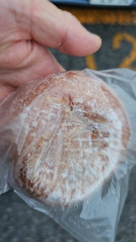 パンの樹 - サブ画像1