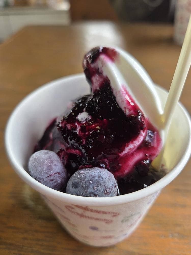 愛菜ファーム ブルーベリー観光農園