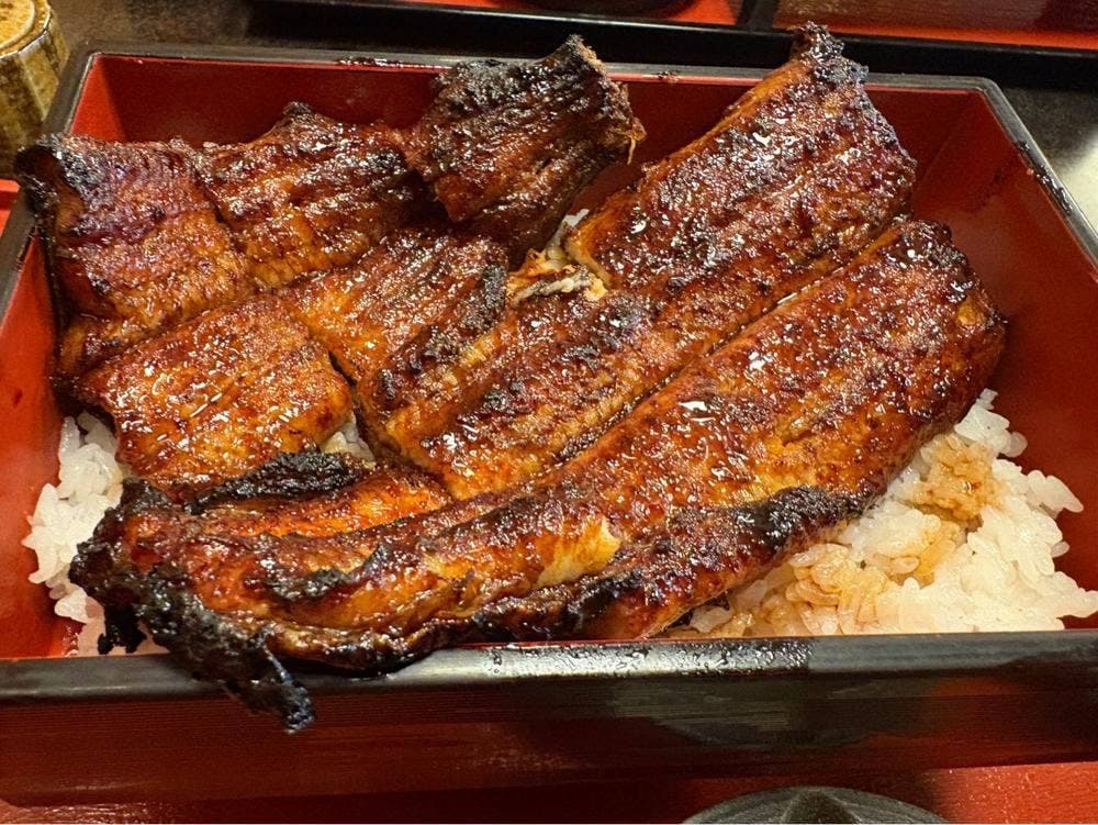 活うなぎ 美濃川