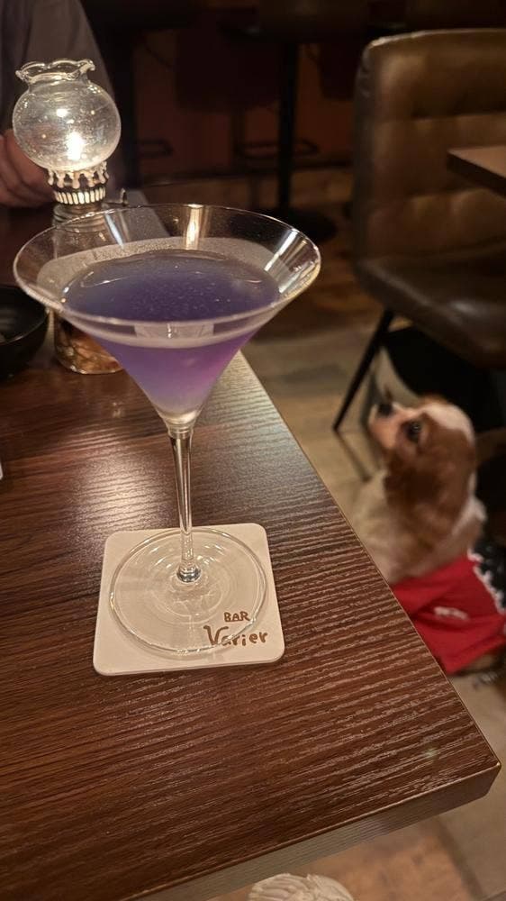 Bar valier 犬がいるBar