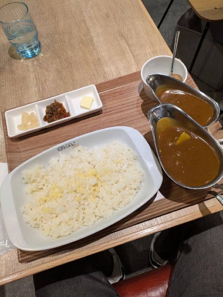 欧風カレー GAVIAL PLUS TOKYO