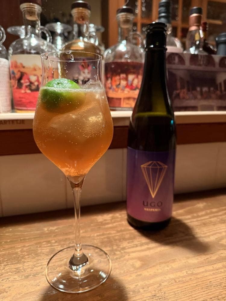 cocktail bar spoon