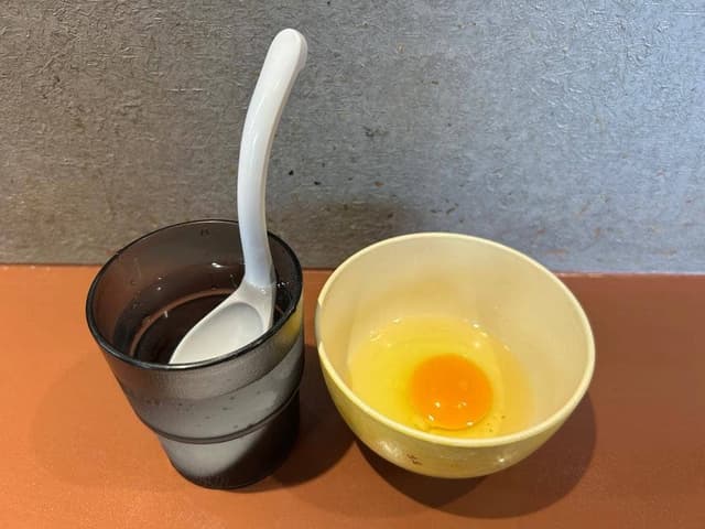 THE SUN COMEN - サブ画像3