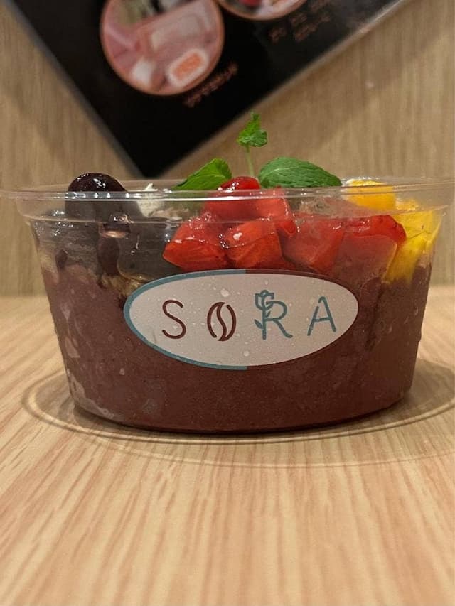SORA - サブ画像2