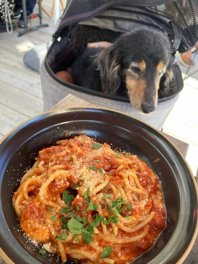 TORRY PINES - サブ画像2