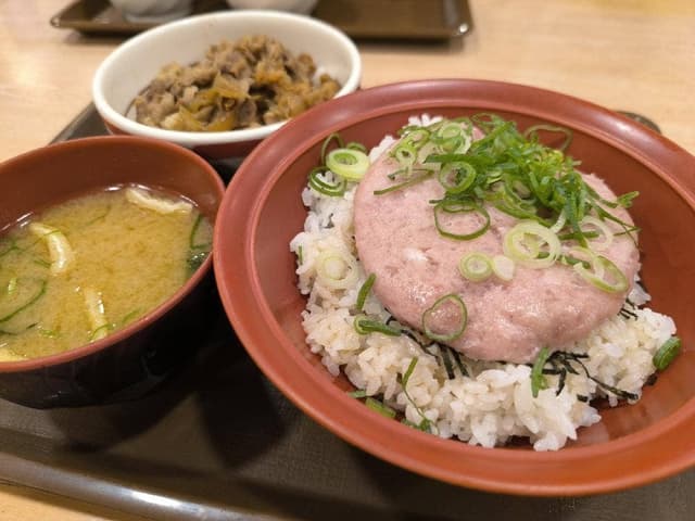 すき家 155号岩倉店 - サブ画像1