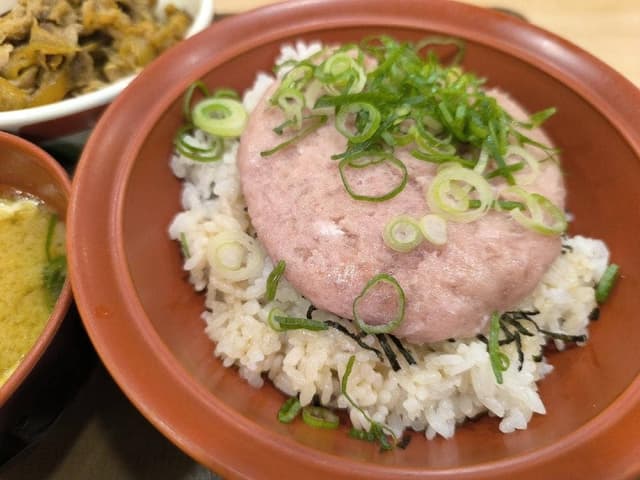 すき家 155号岩倉店 - サブ画像2