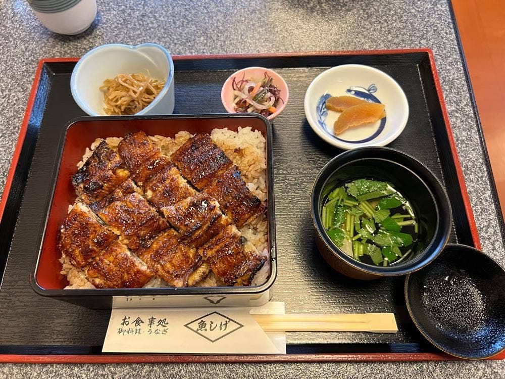 魚しげ
