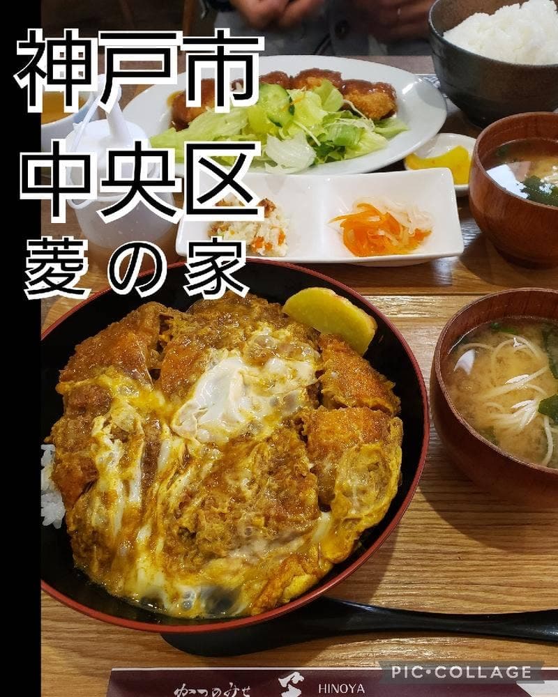 かつのみせ 菱の家
