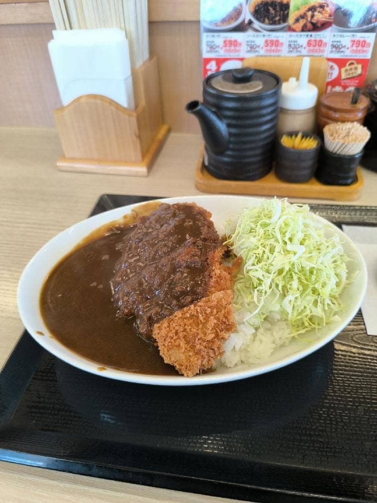 かつや 岐阜南鶉店