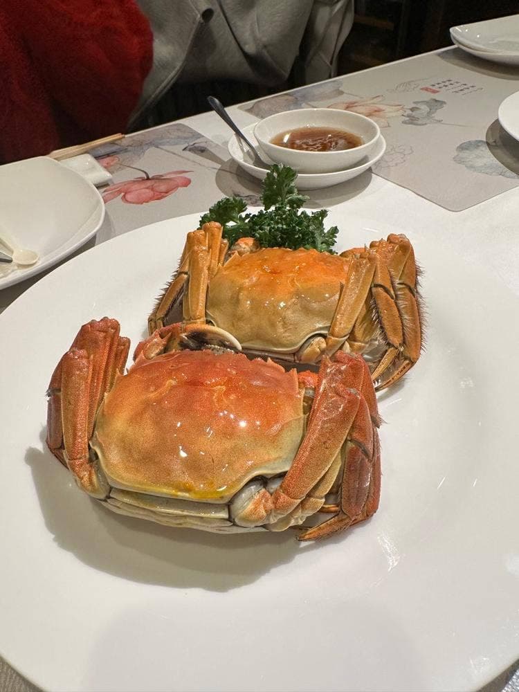 施家菜