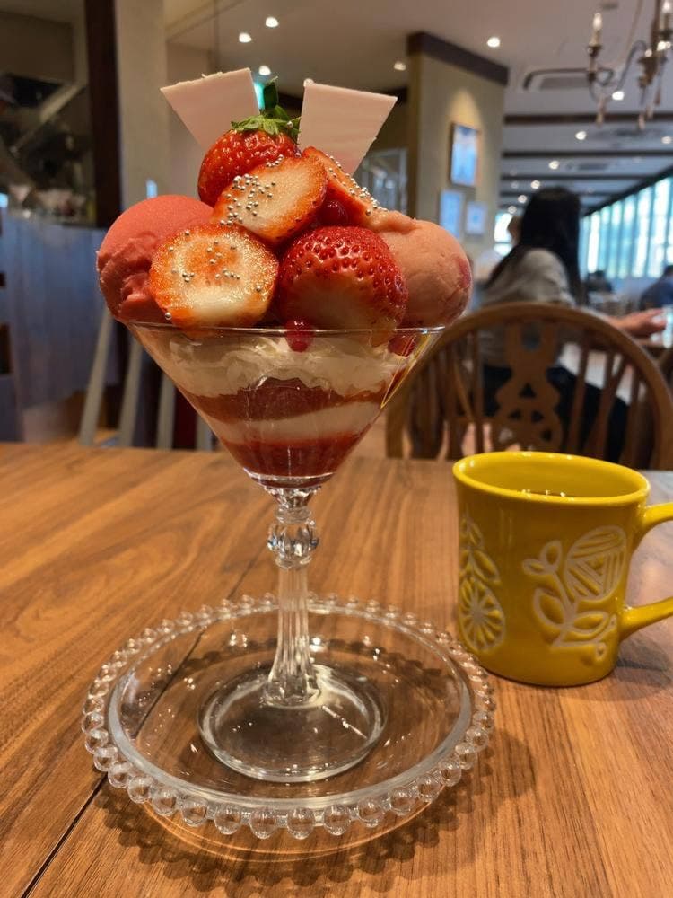 キャンベル・アーリー 福岡空港店