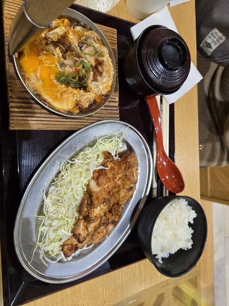 親子丼と鶏料理 鶏山賊 LECT広島店