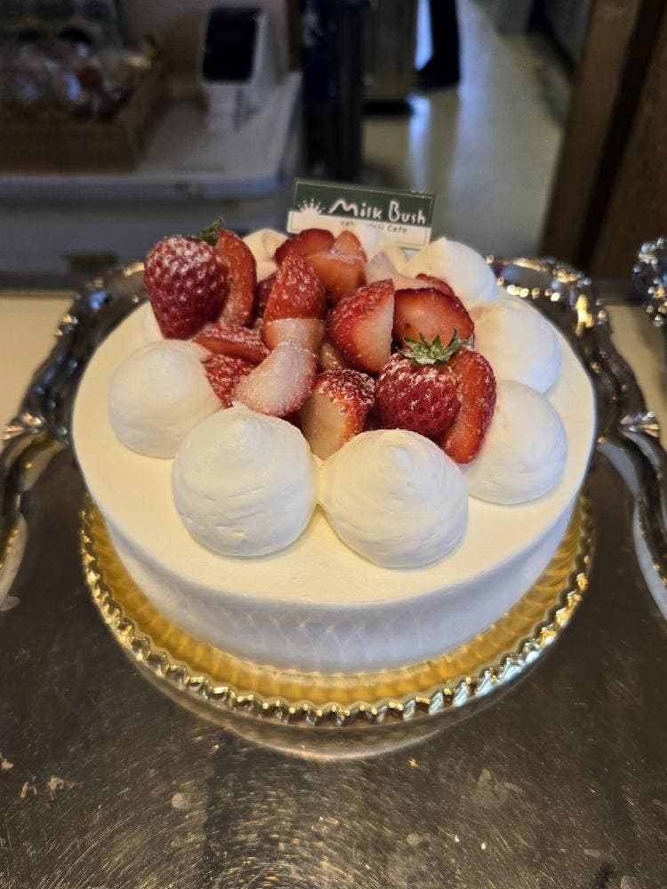 ミルクブッシュ