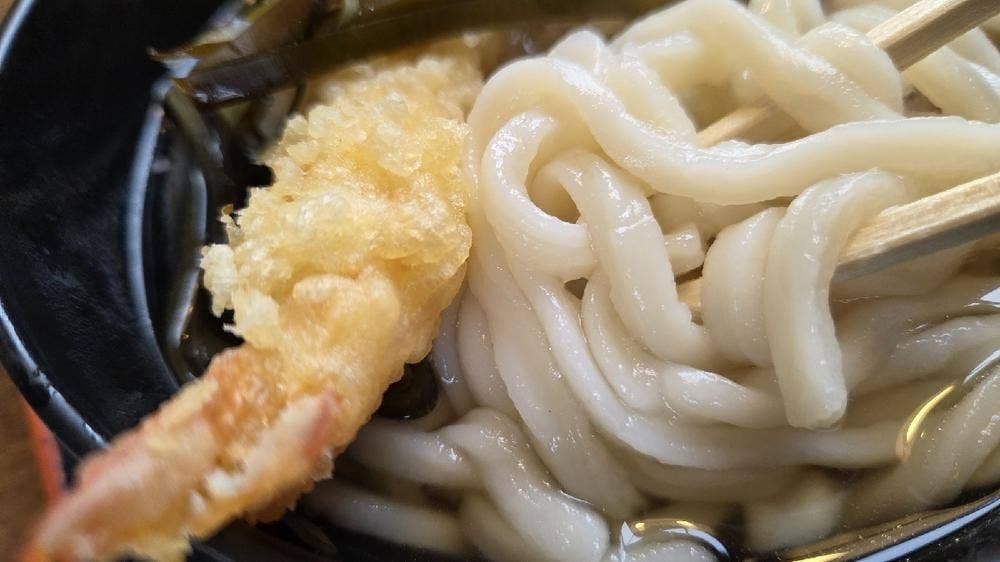 うどんの匠 麺福食堂