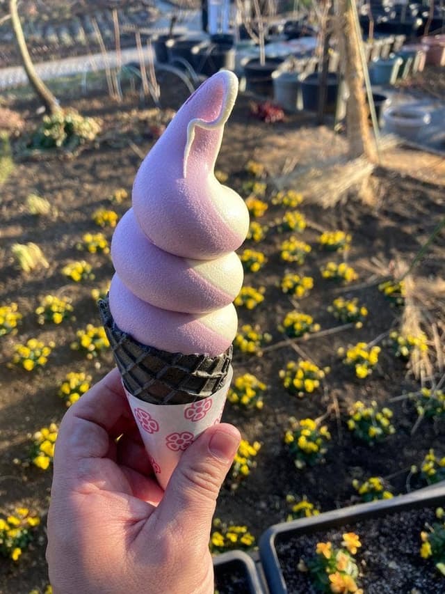 Oishi Park Café - サブ画像3