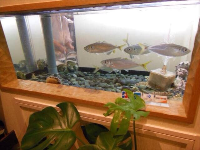 海鮮・活魚 わた屋 - サブ画像3