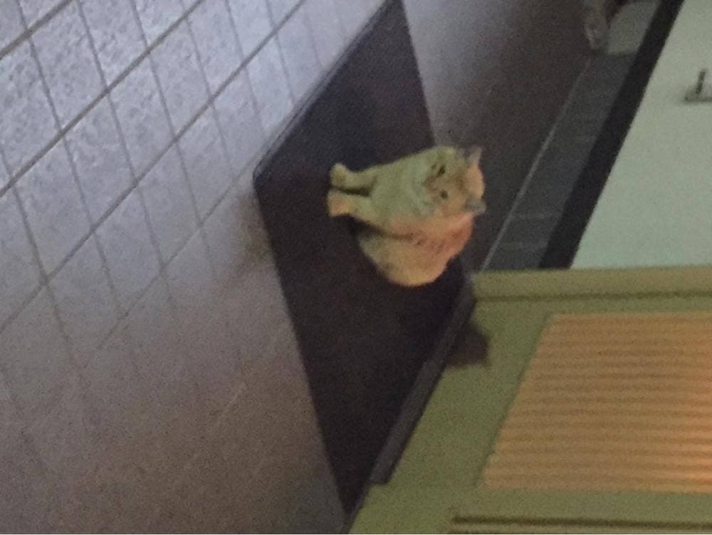 味の店やまぐち