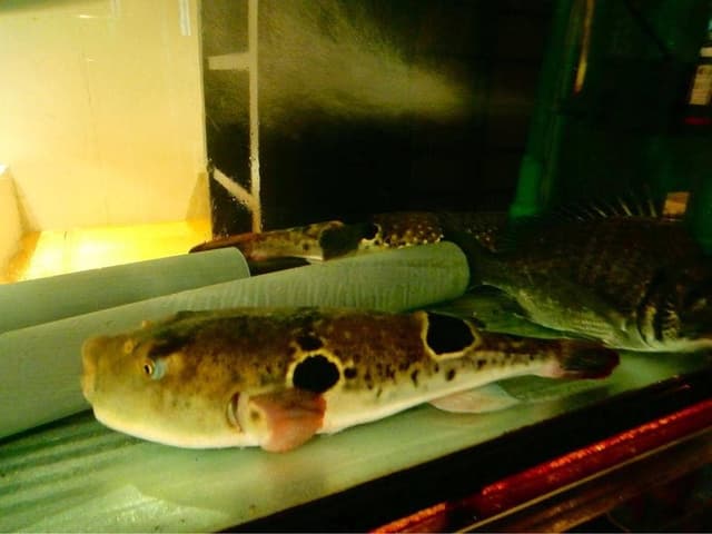 新 - サブ画像1