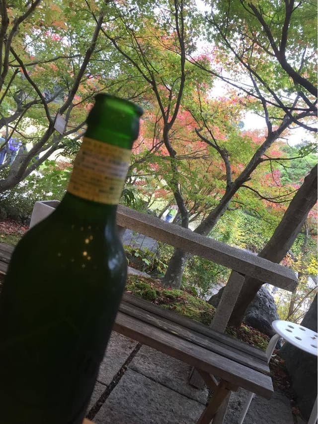 さがの楓カフェ - サブ画像1