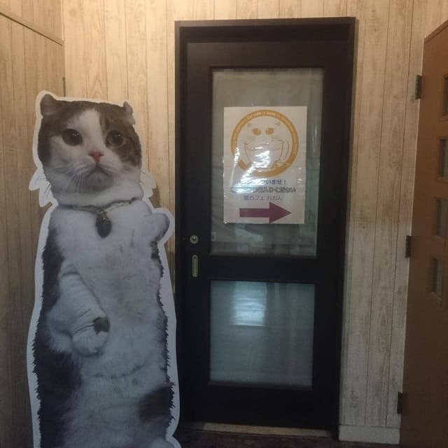 猫カフェ れおん - サブ画像1