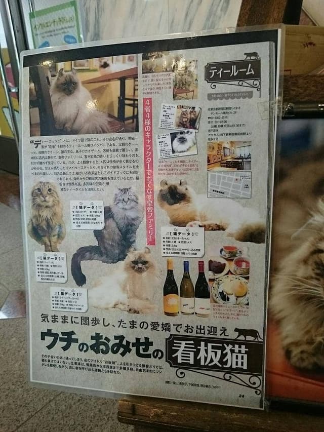 Die Katze - サブ画像2