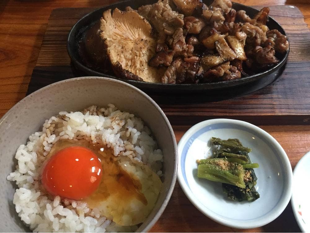 樂樂
