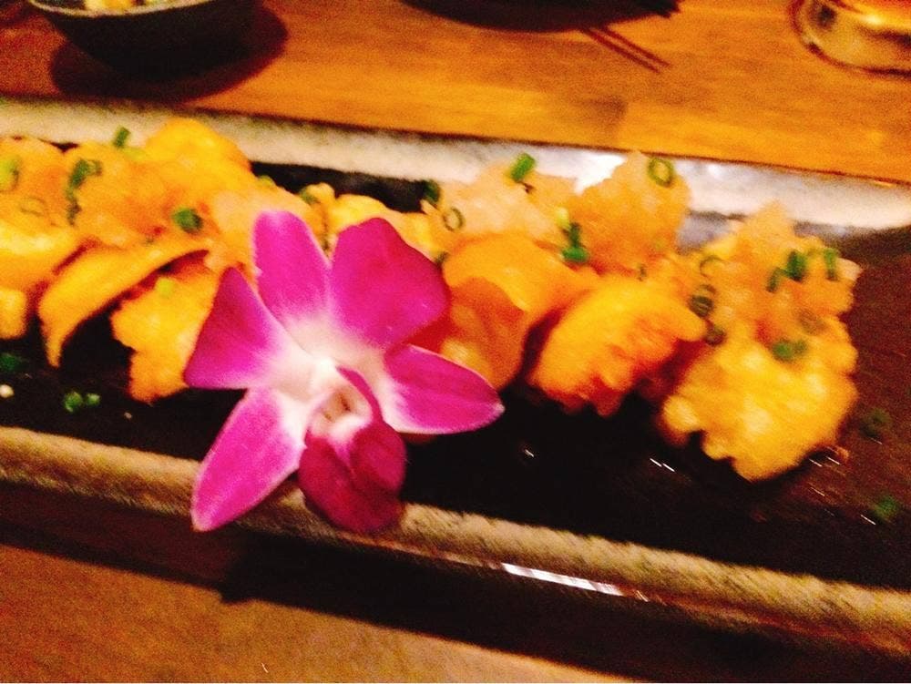 博多もつ鍋と薩摩地鶏酒場 舌鼓